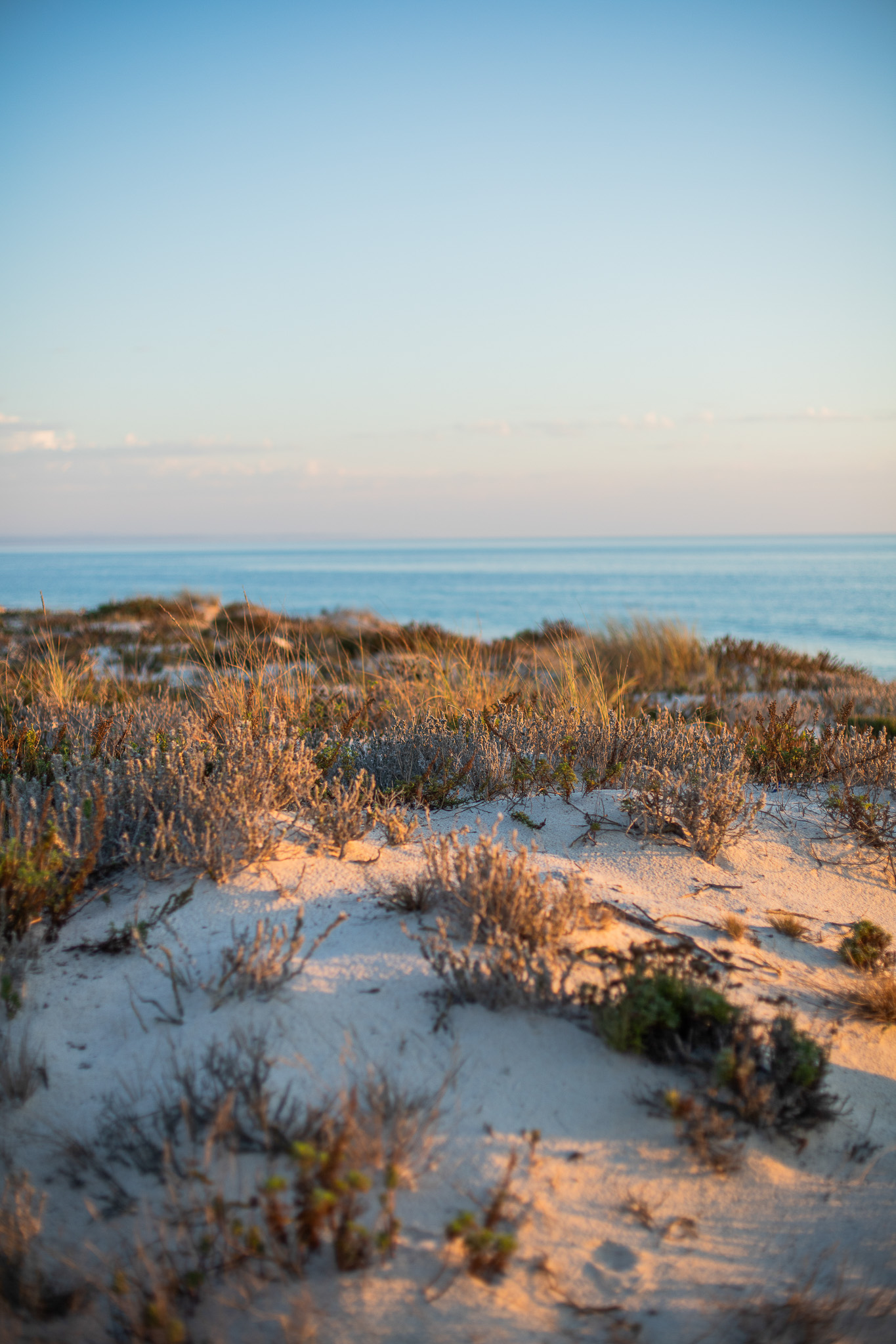 Comporta