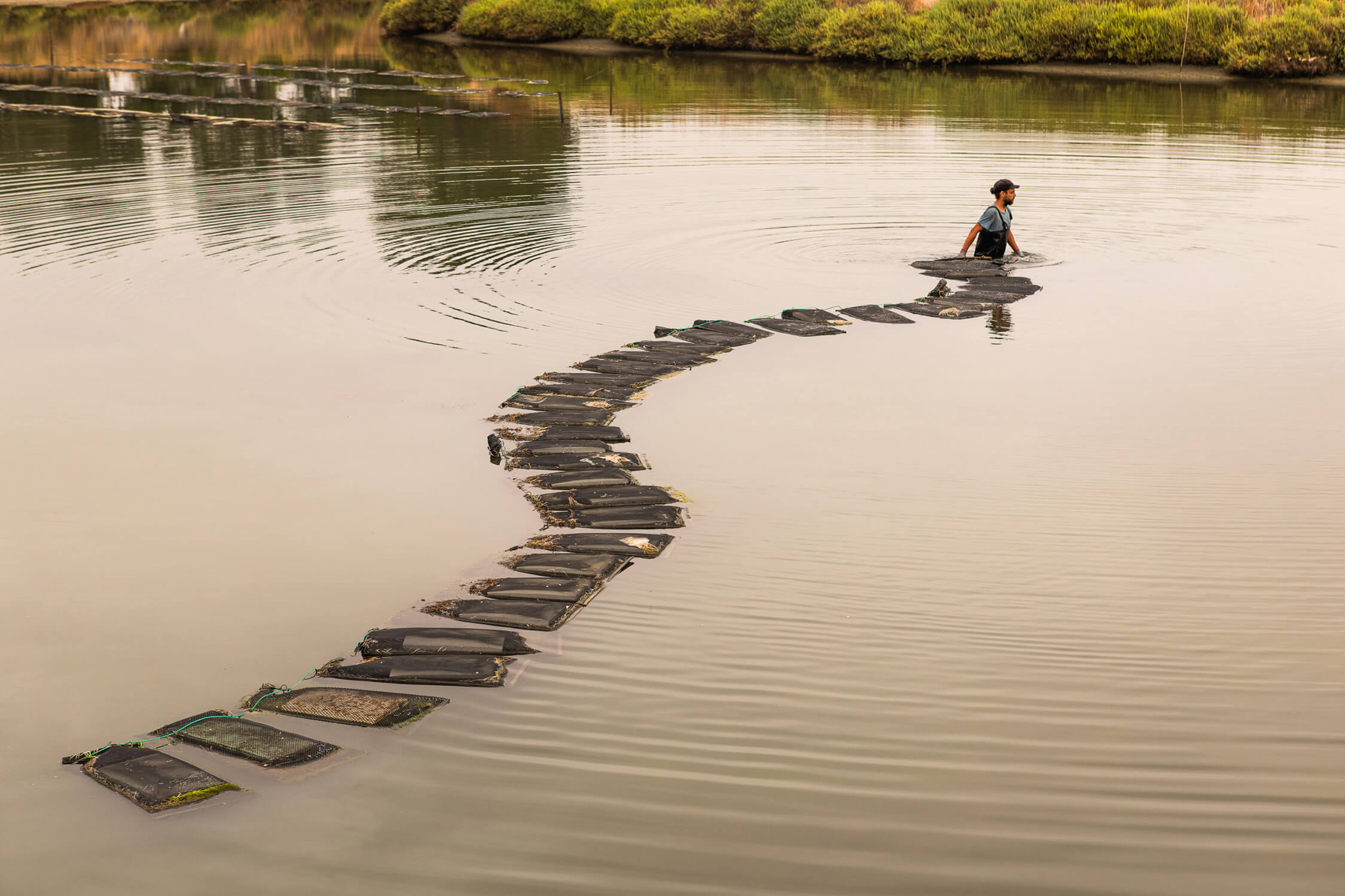 confluence